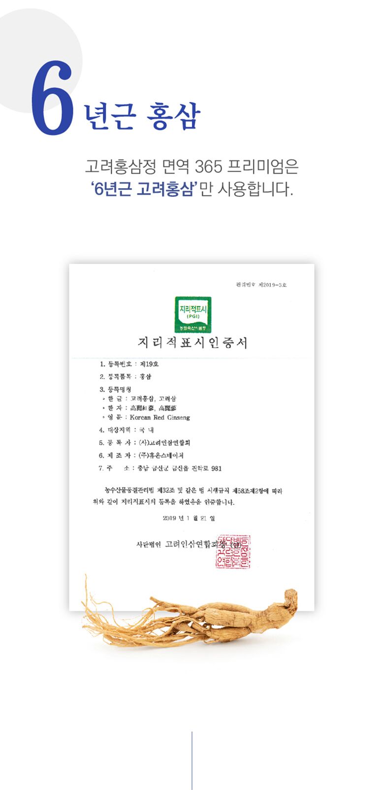 레이어 6